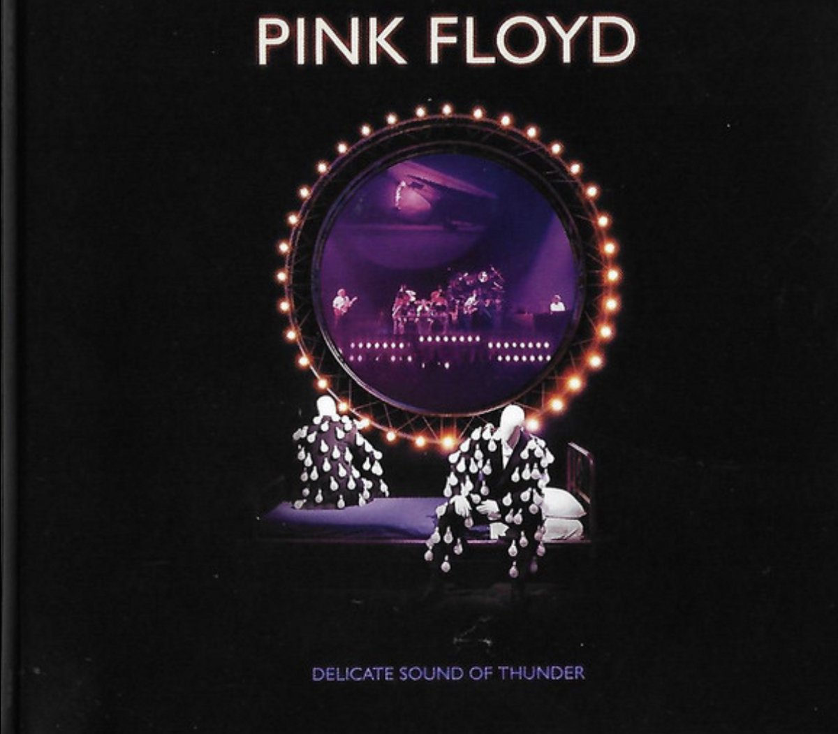 Delicate Sound Of Thunder