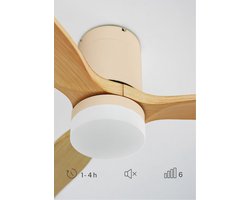 Grote Plafondventilator Ø 132 cm met Verlichting, Wifi en Afstandsbediening | Zomer-Winterstand
