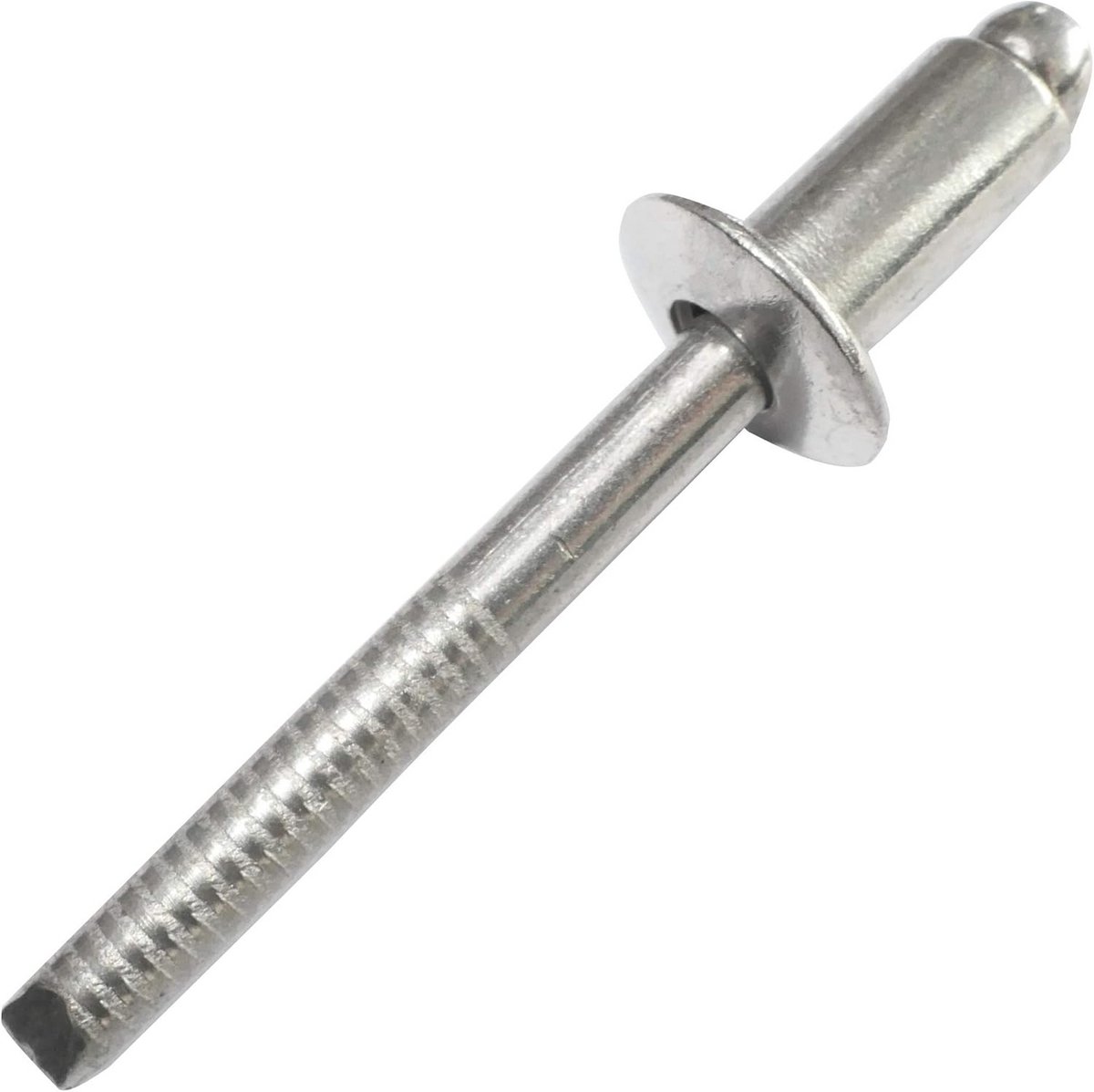 Set van 10 Blindklinknagels RVS Ø6,4x12mm Platte Kop - Popnagels met Steelbreuk