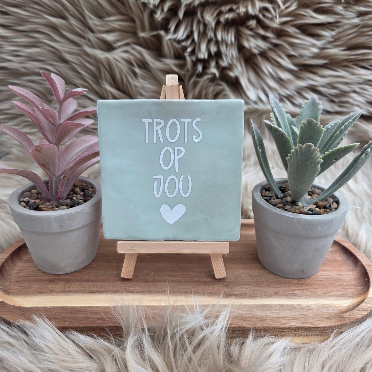 CreaCraft Robuust Wenstegeltje “Trots op Jou” – Lief Cadeautegeltje met Hartje – Trendy nu – Geslaagd – Vriend(in) – Familie – Gezin – Zomaar – Cadeau – Geslaagd – Decoratief Tegeltje met Standaard – Cadeau Idee Mintgroen/Wit