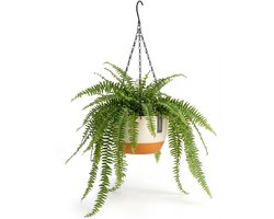 Hangpot met Afwatering