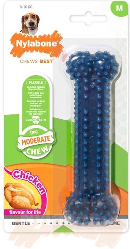 Nylabone bot met kipsmaak, blauw, met noppen, maat M