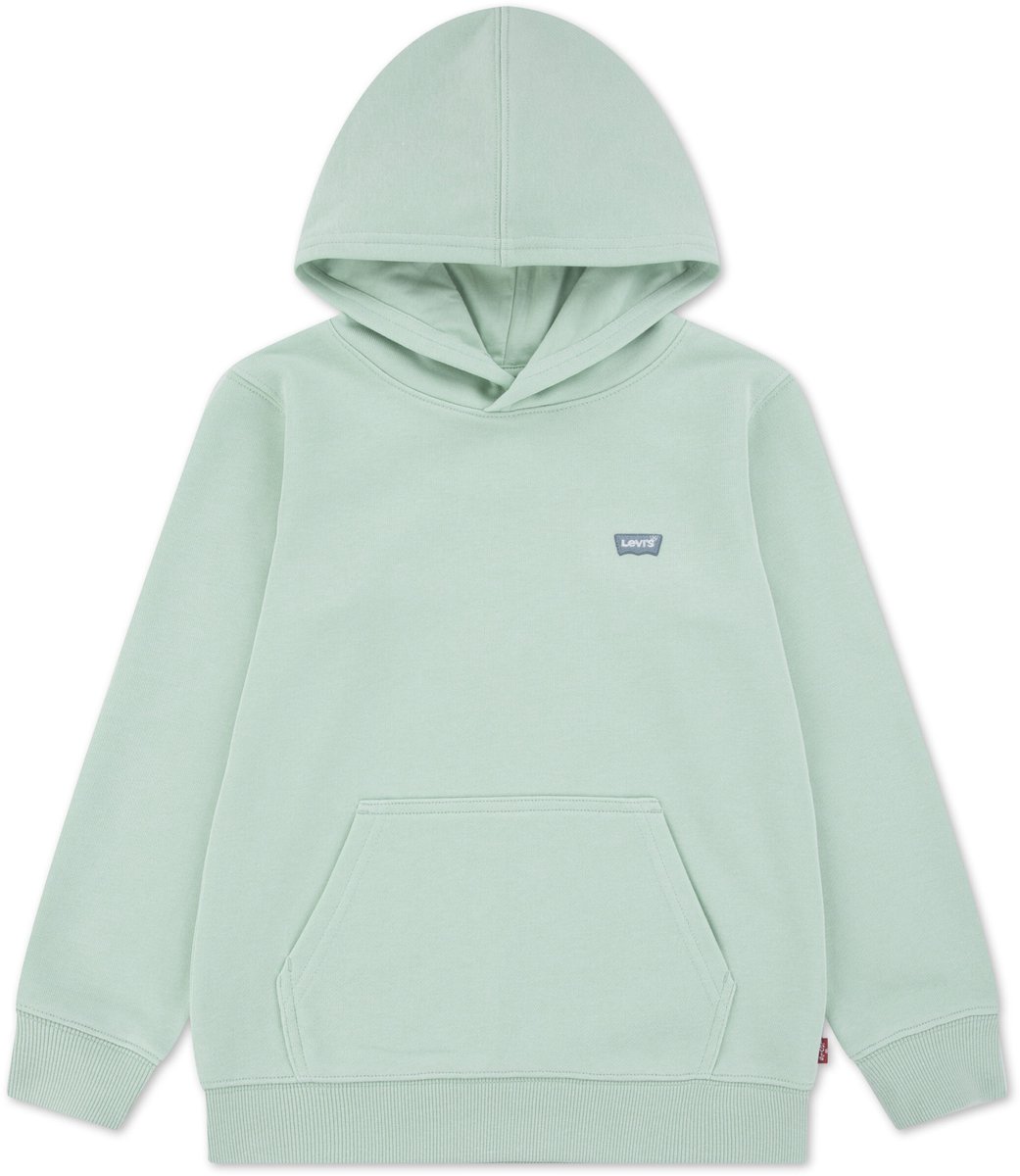 Levi’s Jongens sweater – Jongens Groen