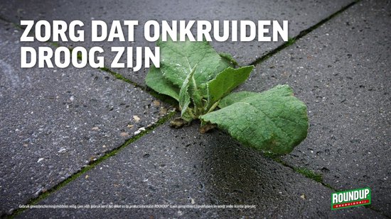 Roundup Totaal Onkruidvrij Concentraat - 500ml voor 220m² - Onkruidverdelger concentraat - Onkruidverwijderaars zonder glyfosaat van Merkloos	 — afbeelding 3