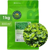 Groene zak met 1 kg Microklaver gazonzaad voor 300 m². "THE GREEN SOLUTION" en "MRS SEEDS & MIXTURES".