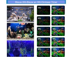 Aquarium LED verlichting twee kleuren licht, blauw en wit licht elk apart regelbaar of kunnen ook samen branden. Lengte led aquariumlamp 28 cm met 12 led's blauw en wit. Wij geven 2 jaar garantie op dit product.