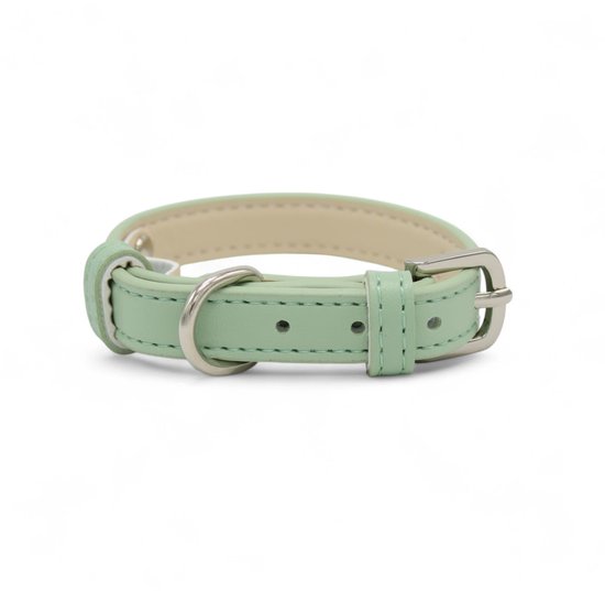 Collier en PU cuir vert menthe clair pour chien avec boucle argentée et anneau en D.