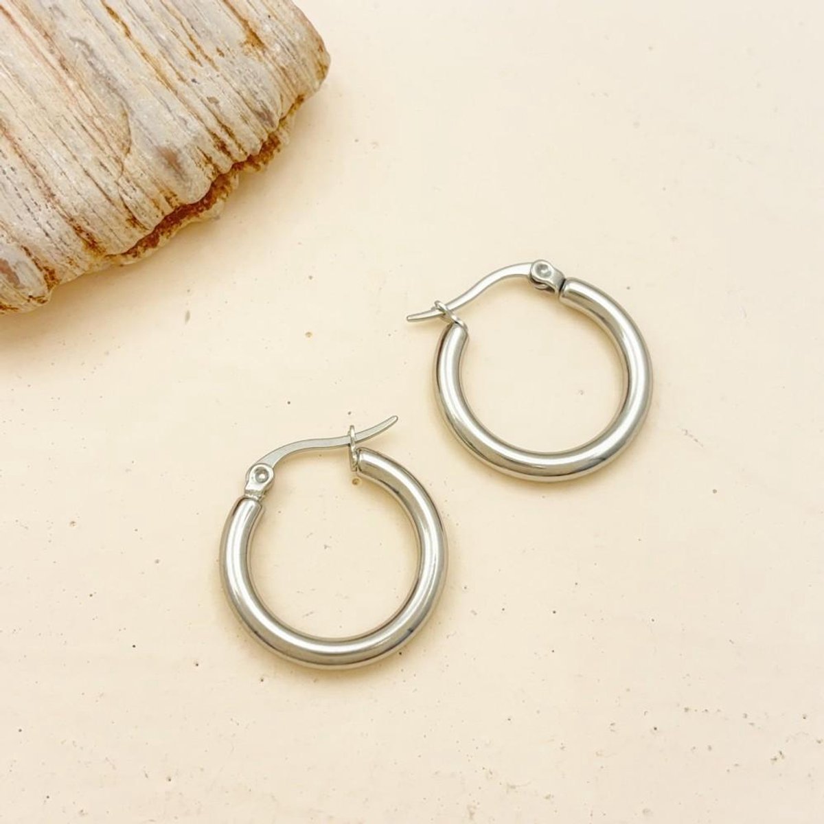 Oorbellen Si Amor Sieraden EW4374-S Roestvrij Staal Kleur Zilver