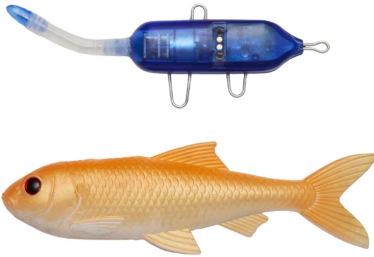 Pulzbait Roach Kit Gold Fish (20cm)