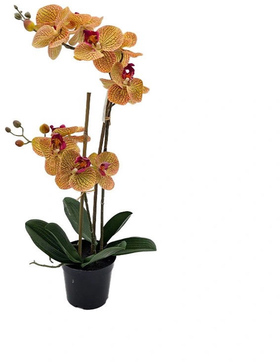 Buitengewoon Boet Phalaenopsis Orchidee in pot x2 50 cm Tiger Yellow kunstplant Buite... geel