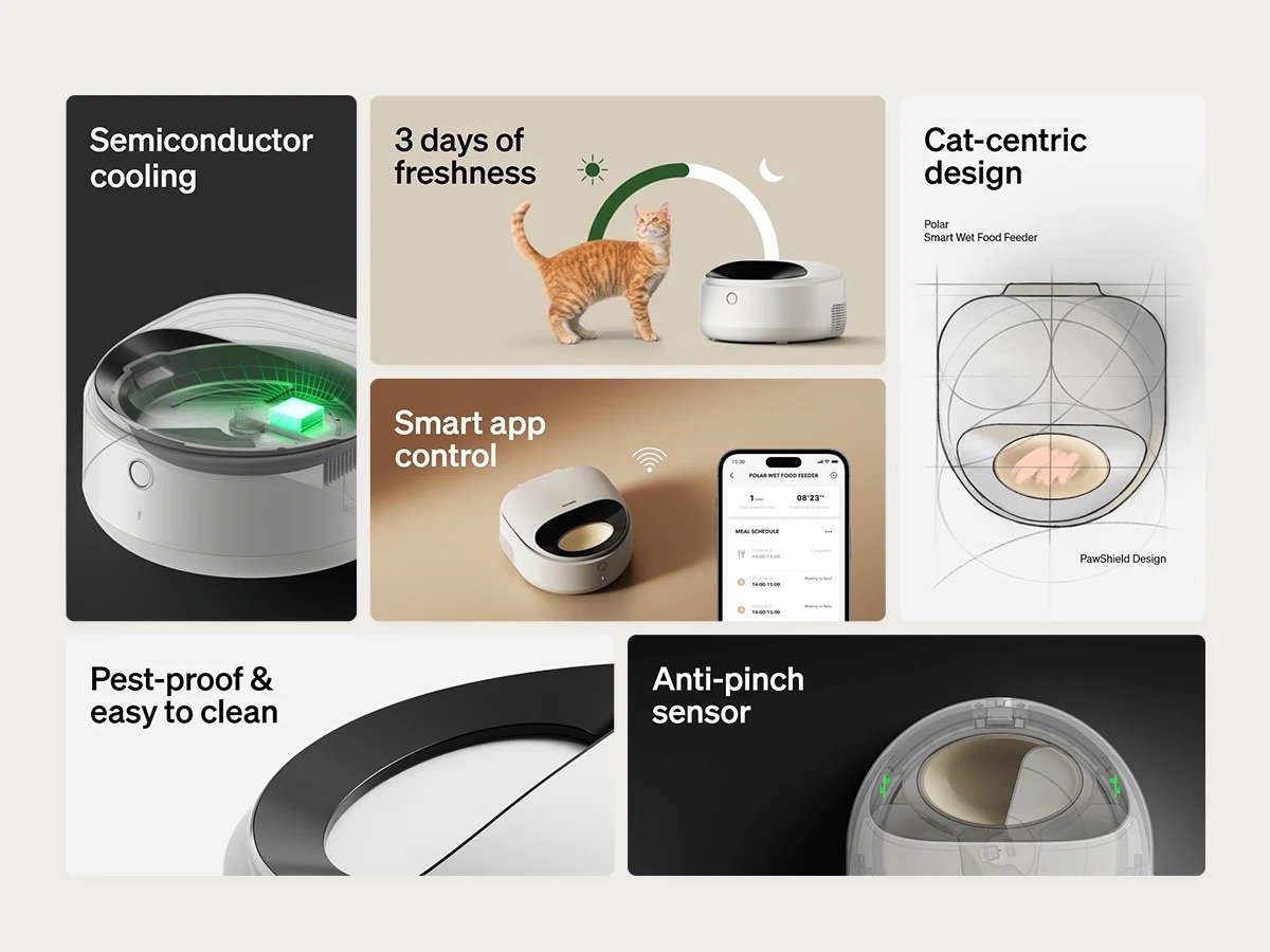 Petlibro Polar Automatische Natvoerdispenser Wit thumbnail 3