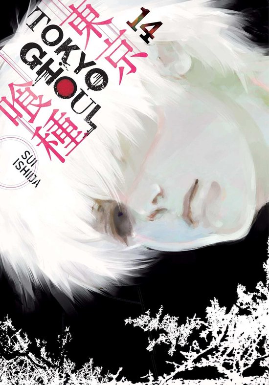 Couverture du livre Tokyo Ghoul 14, avec une illustration des cheveux blancs et du visage de Ken Kaneki.