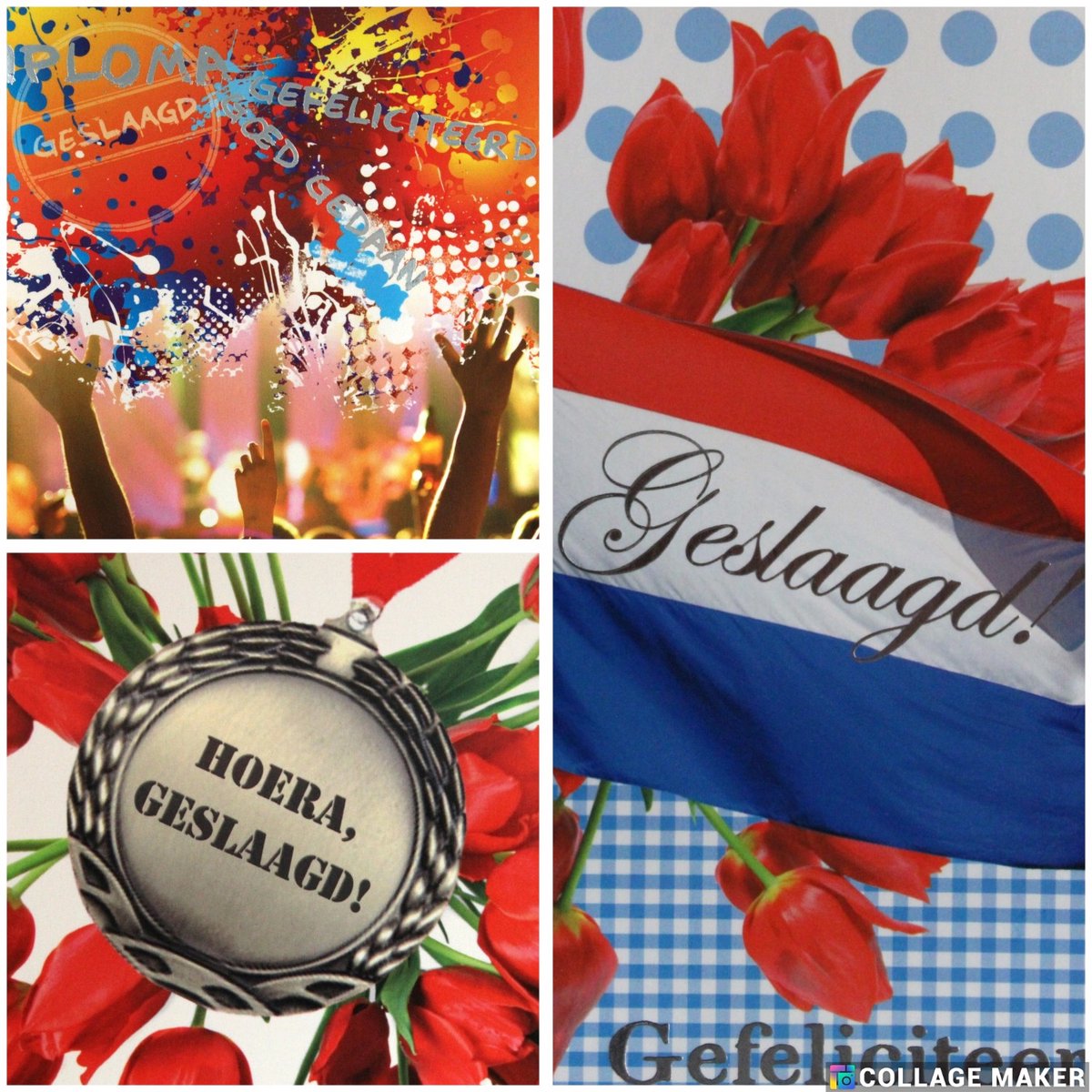 6 Luxe Geslaagd Wenskaarten - Kaart Wens Kaart Examen Geslaagd School Studie Opleiding - 3 Motieven Vierkant 14x14cm Rood Wit Blauwe Envelop - Art of Cards - Gratis Verzonden - Hoge Afnamekortingen