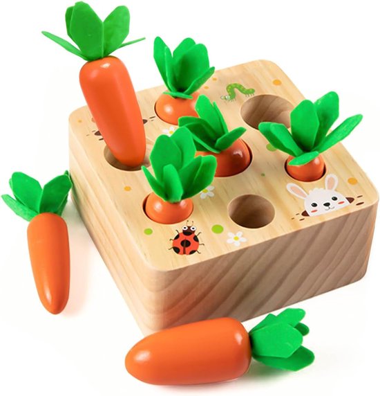 Jouets en bois dès 1 an, stimule la motricité de bébé, dès 12 mois, pour garçons et filles, jeu de tri Montessori, puzzle en bois, speelgoed éducatifs pour enfants