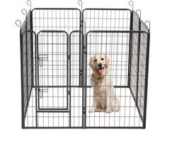 ACAZA Puppyren - Hondenren - 8 panelen - 100 cm hoog - Met deur - Zwart - Puppyren Opvouwbaar - Hondenkennel - Konijnenren