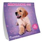 Hondenkalender 2026 Dwergkeeshond Pomeranian, pomeriaan, pomsky - alsa