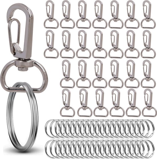 Een grote zilverkleurige karabijnsluiting met ring en een groep van 25 kleine karabijnsluitingen met ringen