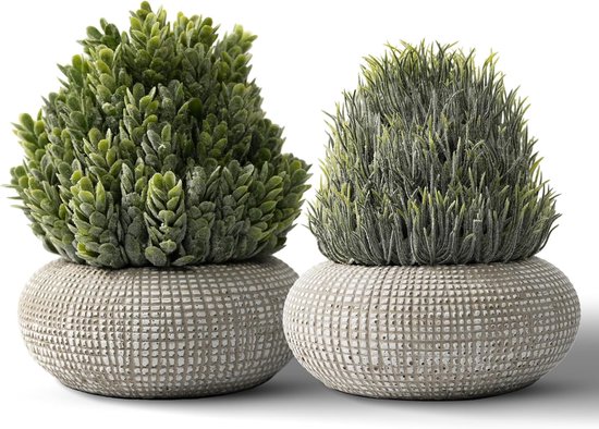 YVONNEYI 2 stuks kleine kunstplanten in betonpotten, 15,6/14,5 cm, kunstplanten als echt, nepplant voor thuis, woonkamer, badkamer, slaapkamer, keuken, tafel, kantoor, kamerdecoratie