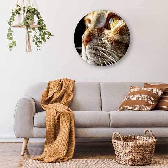 Gedetailleerde close-up kattenoog - Kat schilderij rond - Wandschaal dieren - Hyperrealisme - Forex - Interieurdecoratie kamer - Muurcirkel forex 90x90 cm