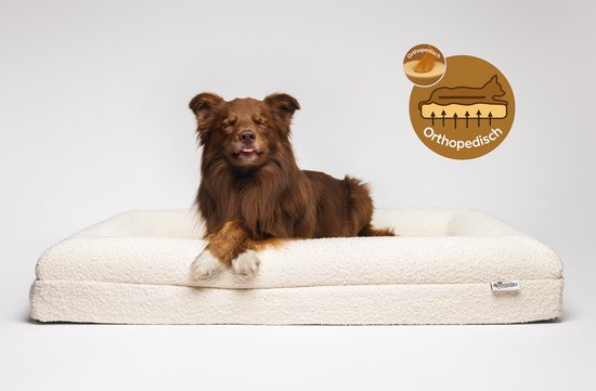 Panier orthopédique CloudyPaw pour chien - Coussin orthopédique pour chien - Panier pour chien - Housse amovible - Lavable - Avec fermeture éclair - Beige - Grand