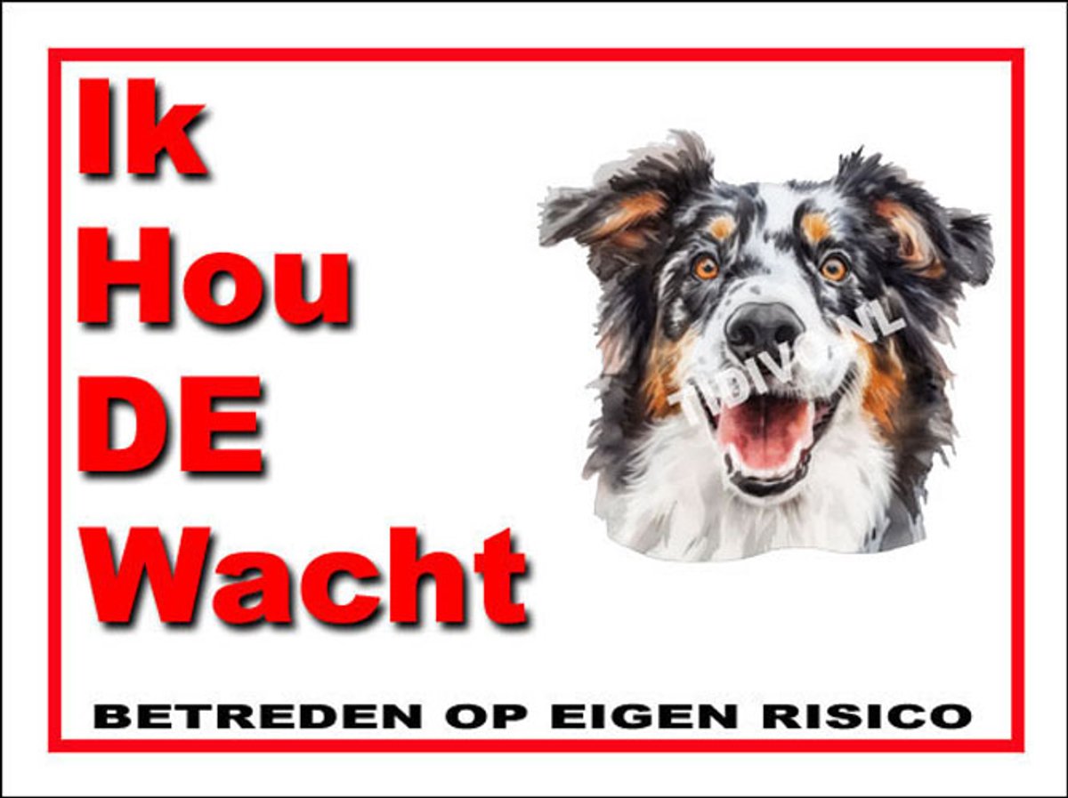 Engelse Shepherd 7