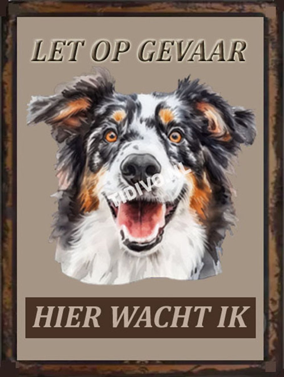 Engelse Shepherd 18