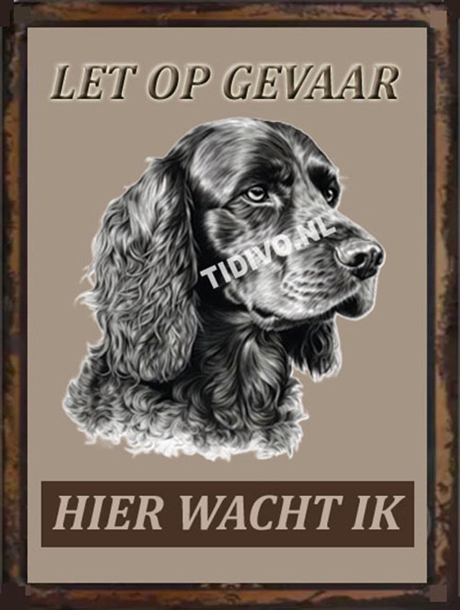 Engelse Cocker Spaniel 18