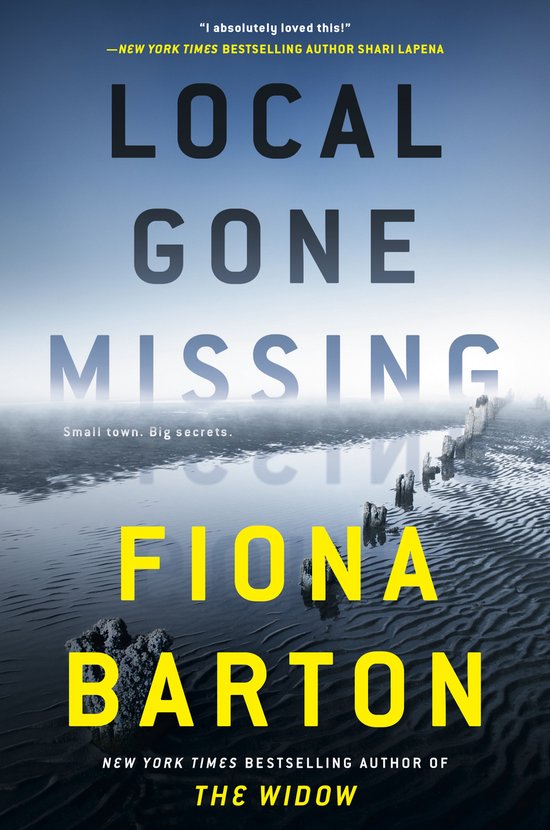 Local Gone Missing - cover