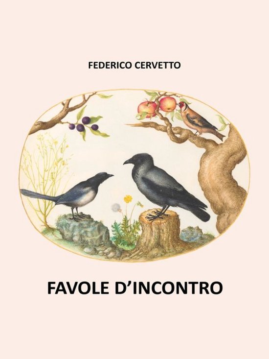 Favole D'Incontro - cover