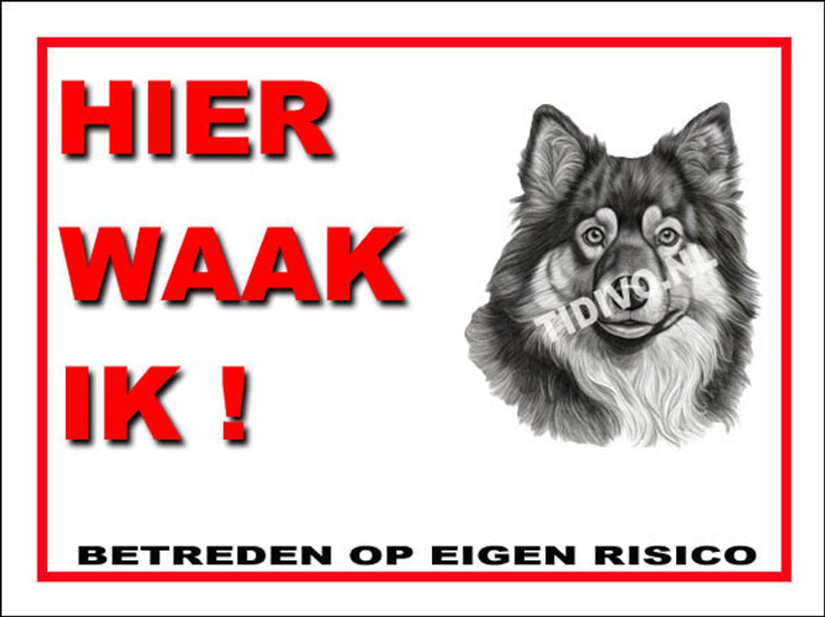 Finse Lappenhond 3