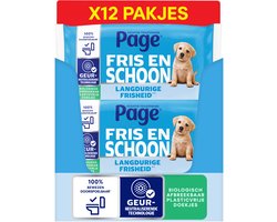 Page® vochtig toiletpapier - Fris en Schoon (Compleet Schoon) - langdurige frisheid - 456 velletjes - 12 x 38 stuks