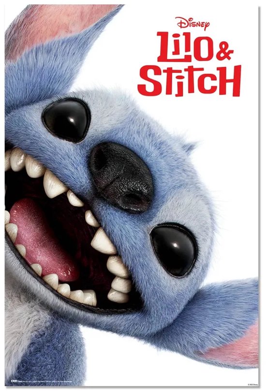 Stitch poster - Lilo - Film - Hollywood - Disney - 61 x 91.5 cm