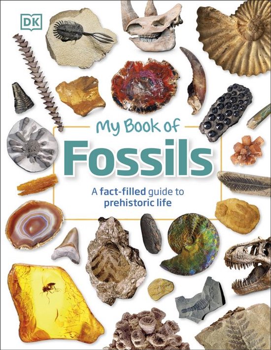 My Book of - My Book of Fossils - cover