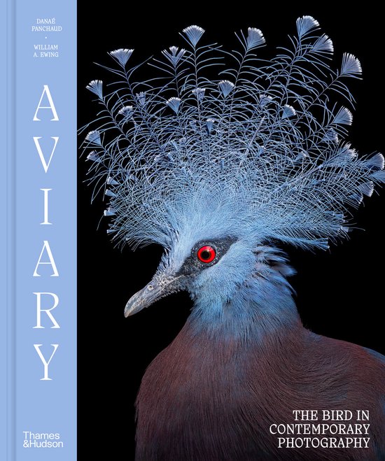 Aviary - cover