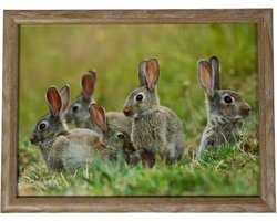 Mars & More Laptray – konijnen print - 43 x 33 cm