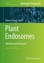 Plant Endosomes