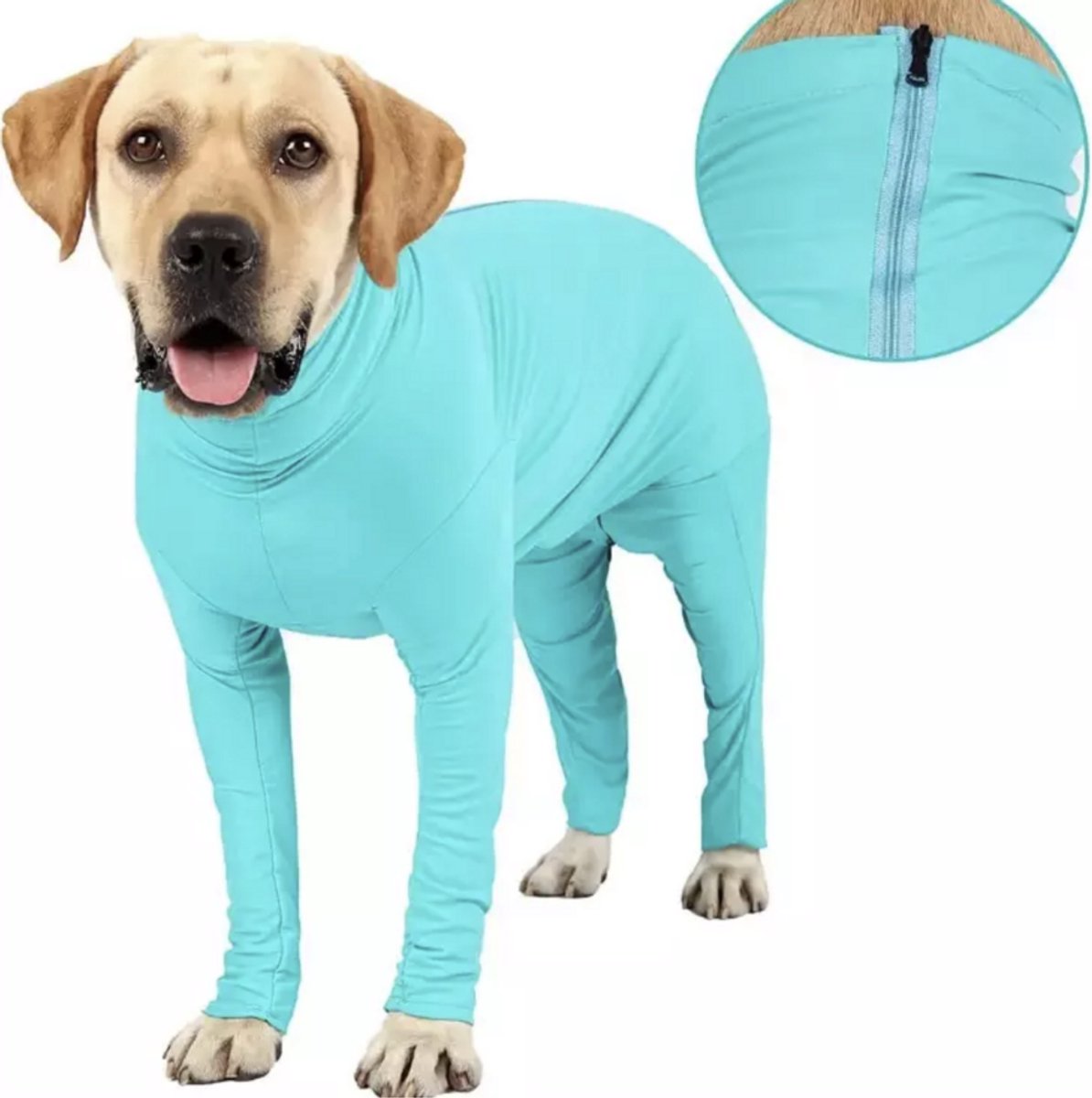 Dogs&Co® Medisch Bodysuit Maat S - Operatie jumpsuit - Operatiepak voor de hond Turquoise