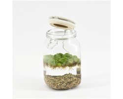 Moerings Weckpot Keramieke Deksel Met Aquariumplant
