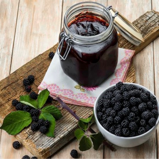 Golden Nuts-Zwarte Moerbei Melasse 800G