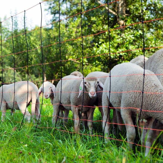 Ako Titan Schapennet Enkele Pen 90cm