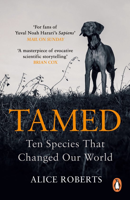 Tamed - cover