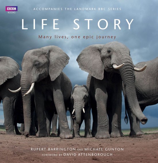 Life Story - cover