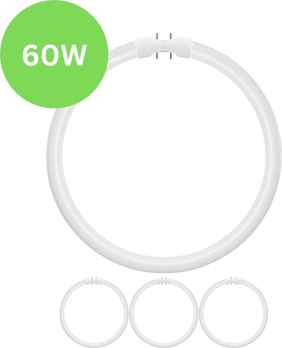 Circulaire TL-buis van 60W met 4-pins aansluiting. Twee andere buizen zijn zichtbaar op de achtergrond.