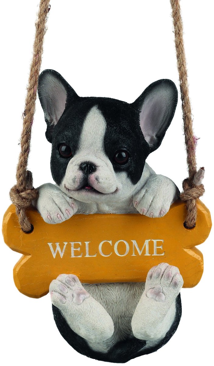 Welkom bulldog op schommel