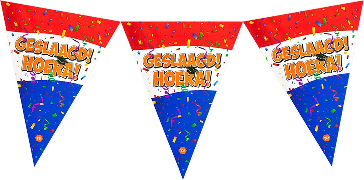 Vlaggenlijn ''Geslaagd Hoera!'' - Slinger - 4 meter