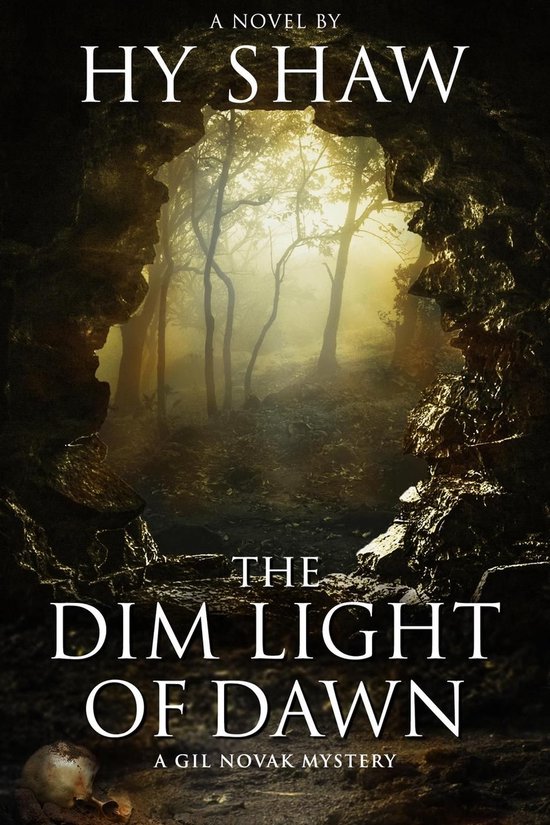 Gil Novak and Lili D'Amico Mysteries 1 - The Dim Light of Da ... - cover