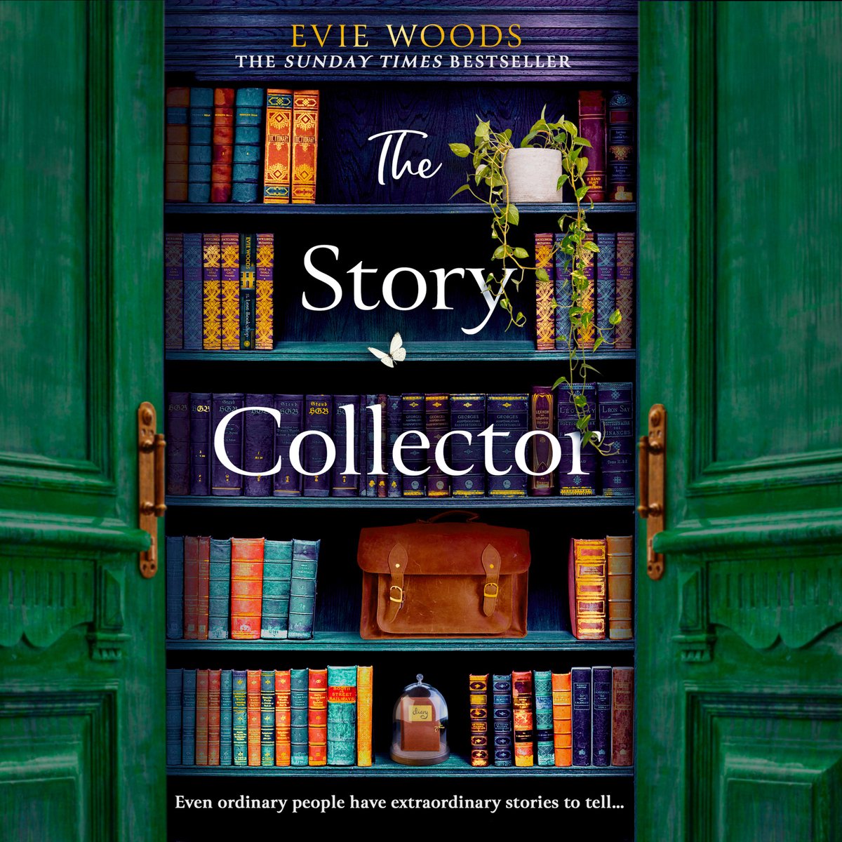 Omslag van The Story Collector