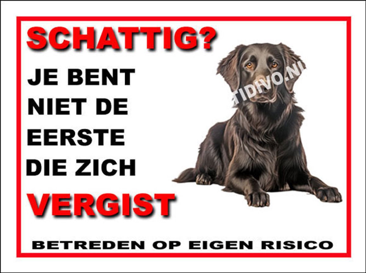 Flatcoated Retriever 14