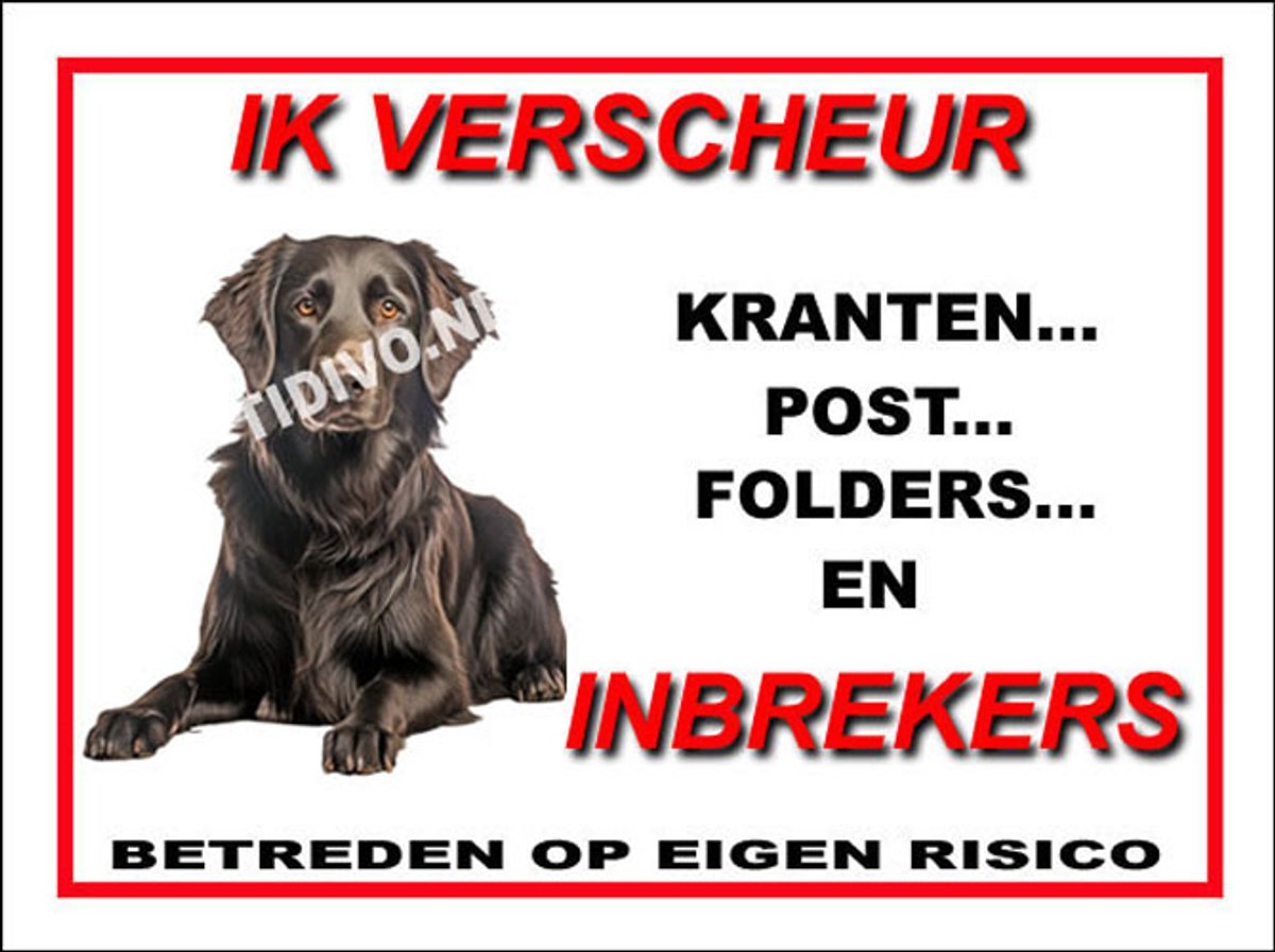 Flatcoated Retriever 8