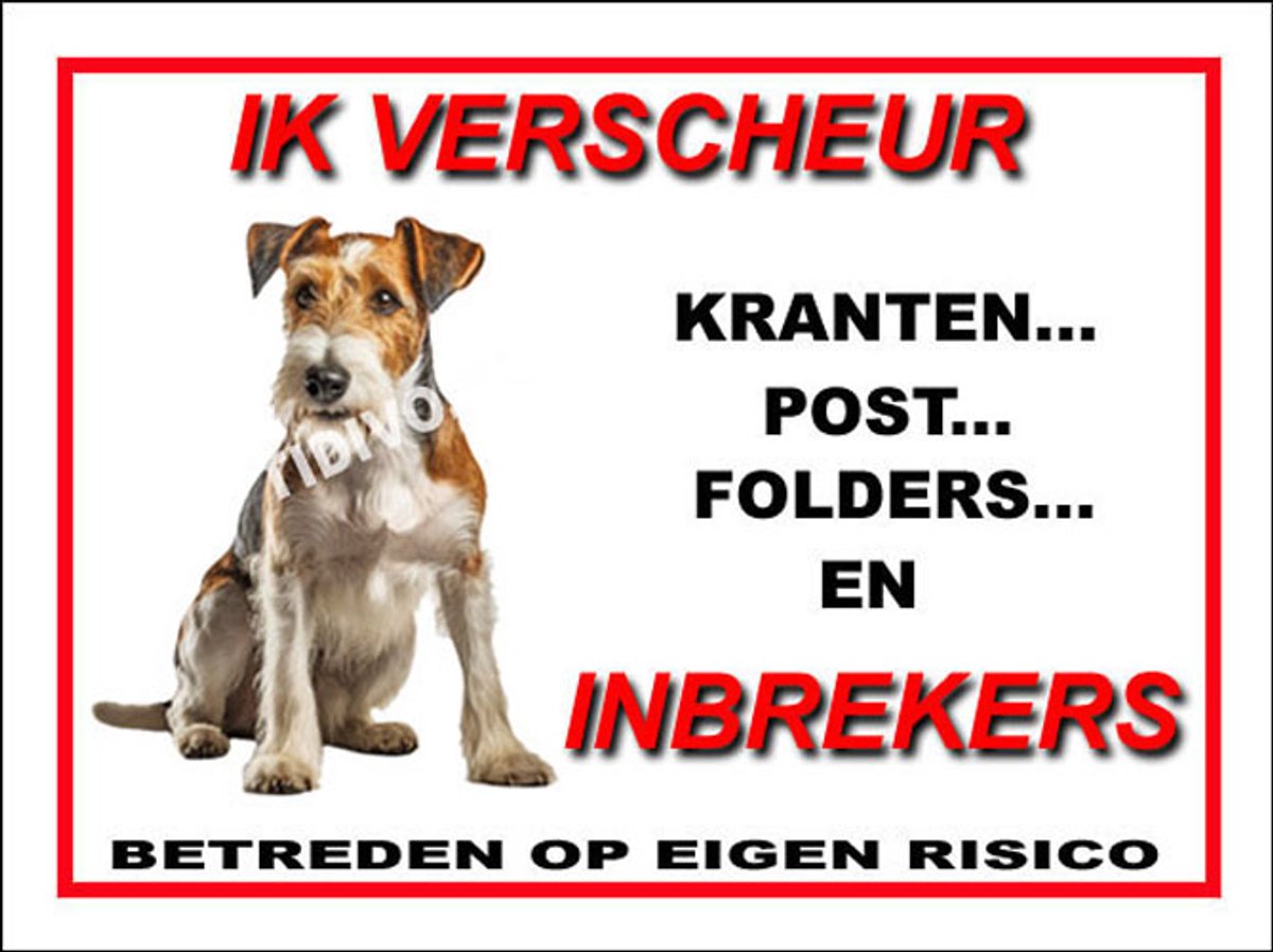 Fox Terriër Draadhaar 8